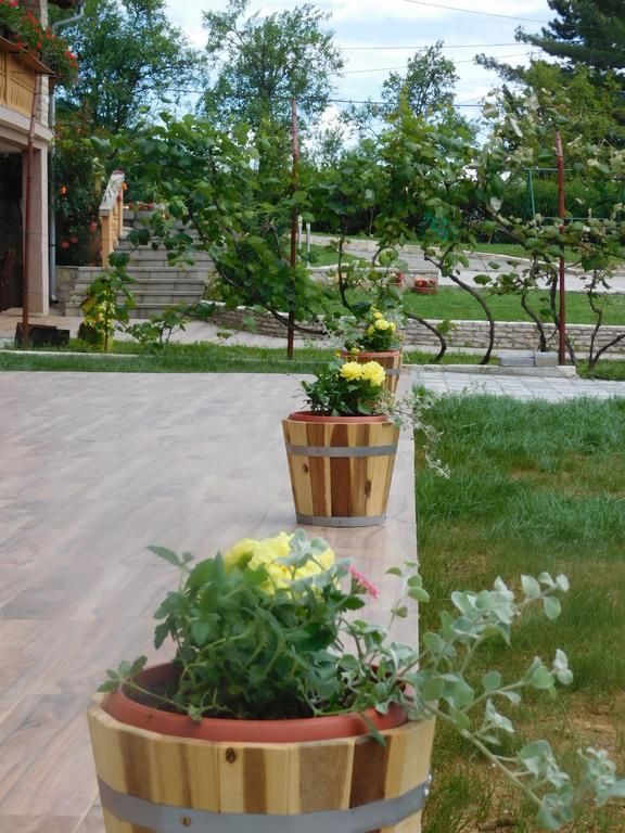 Guesthouse Sara Ґрабовац Екстер'єр фото